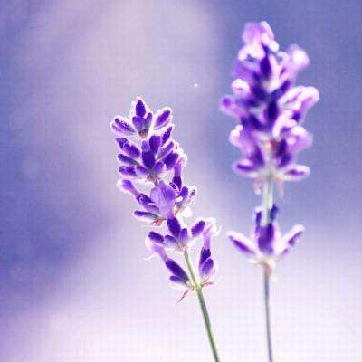 南宫ng28娱乐官网入口